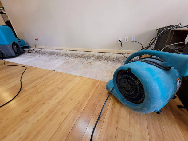 Professional Sewage Cleanup technician working in Ingleside, IL